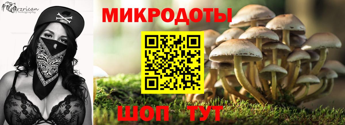 Лосино-Петровский  Галлюциногенные грибы Psilocybe  Вход с VPN 